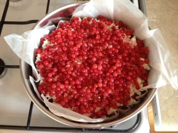 Záhradka pod snehom - obrázok 3