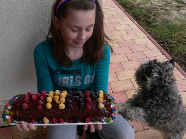 Mňamčik gaštančik - obrázok 9