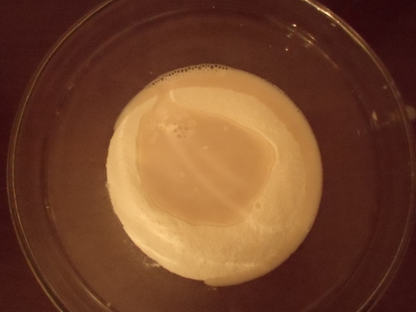 Knedlík(fotorecept) - obrázok 1