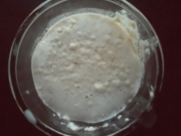 Hodové koláče(fotorecept) - obrázok 1