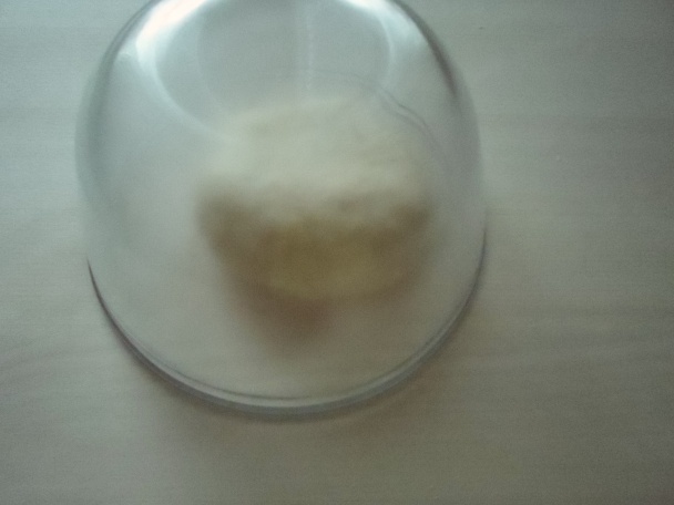 Lečky(fotorecept) - obrázok 2