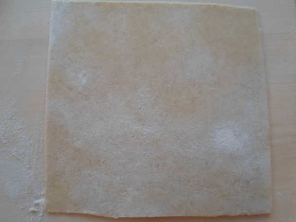 Cestenice (fotorecept) - obrázok 2