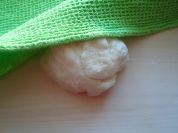 Tortilla placky (fotorecept) - obrázok 1