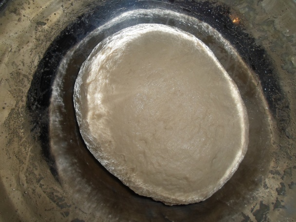 Osie hniezda (fotorecept) - obrázok 3