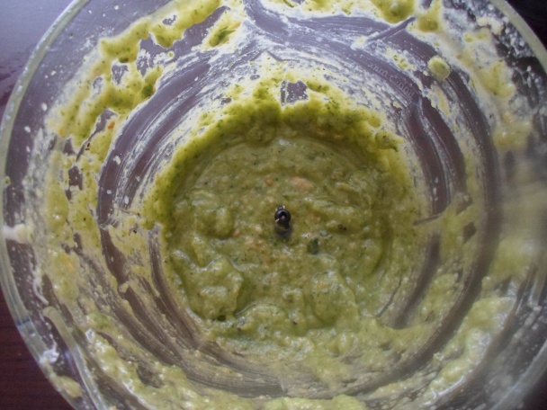 Pesto (fotorecept) - obrázok 3