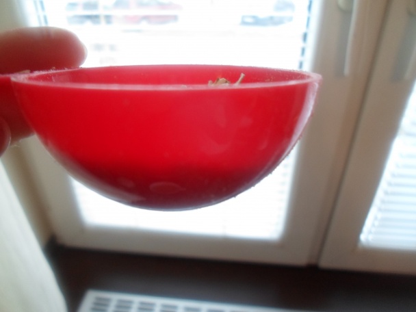 Pomarančový porridge - obrázok 3