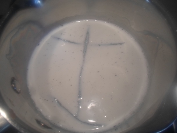 Vanilková zmrzlina (fotorecept) - obrázok 1