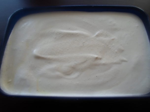 Vanilková zmrzlina (fotorecept) - obrázok 6