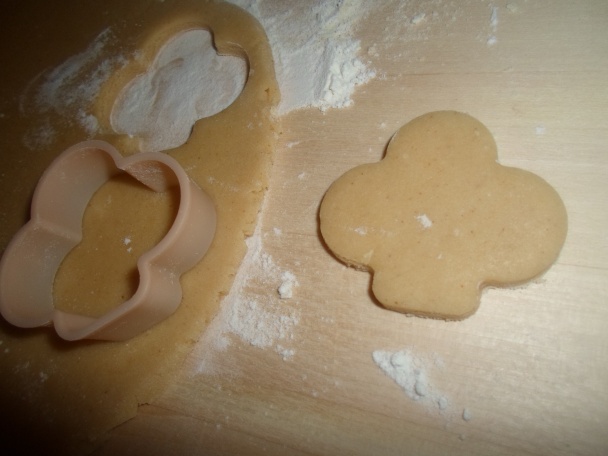 Zázvorníky (fotorecept) - obrázok 3