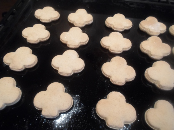 Zázvorníky (fotorecept) - obrázok 5