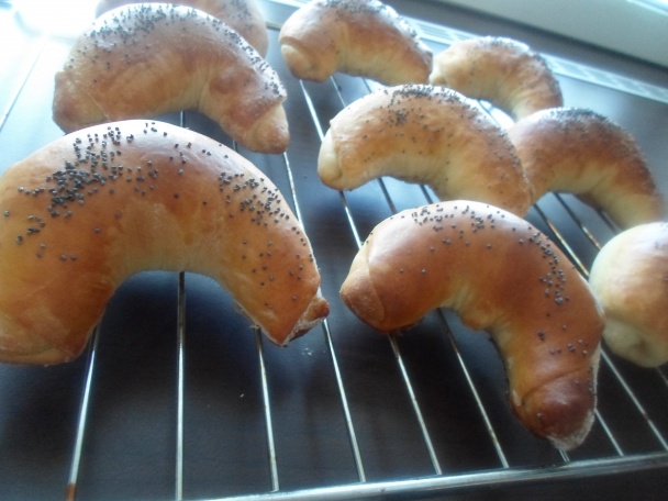 Lupačky(fotorecept) - obrázok 7
