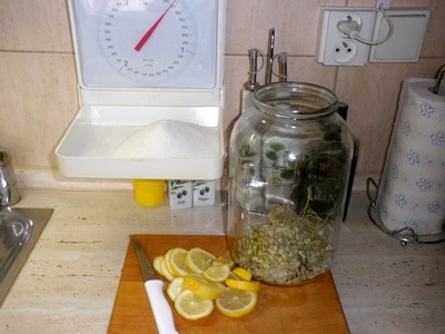 Nápoj k vodke - obrázok 1