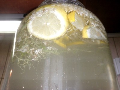 Nápoj k vodke - obrázok 2