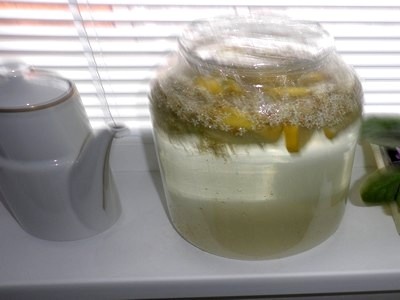 Nápoj k vodke - obrázok 3