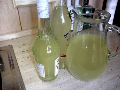 Nápoj k vodke - obrázok 6