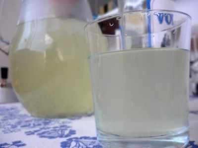 Nápoj k vodke - obrázok 7