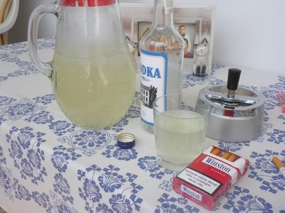 Nápoj k vodke - obrázok 8