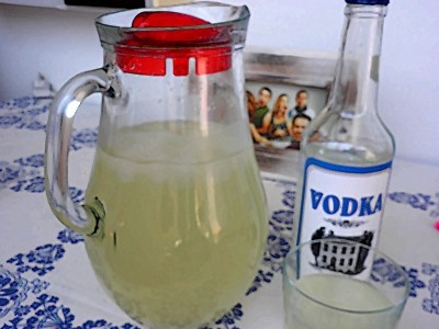 Nápoj k vodke - obrázok 9
