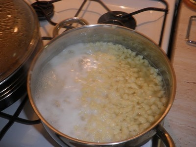 Hliva s cuketou v smotanovej omáčke (fotorecept) - obrázok 14