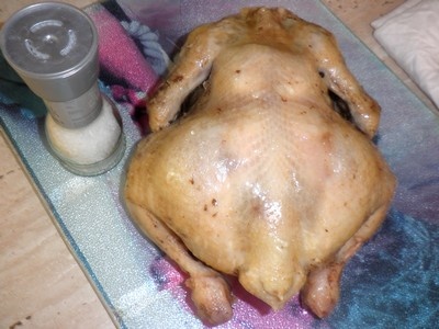 Sliepka ako hus - obrázok 1