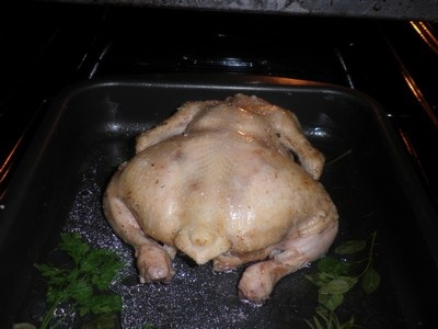 Sliepka ako hus - obrázok 3