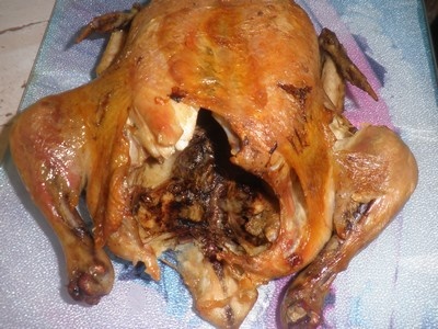 Sliepka ako hus - obrázok 4