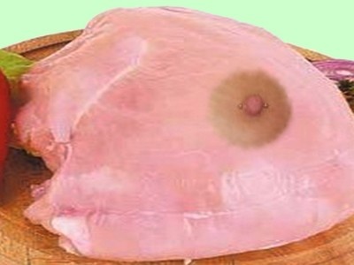 Plnená morčacia rolka - obrázok 1