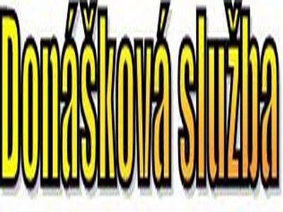 Domáci kebab - obrázok 1