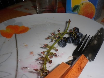 Tvarohové knedličky v žihľavovej omáčke  - obrázok 7