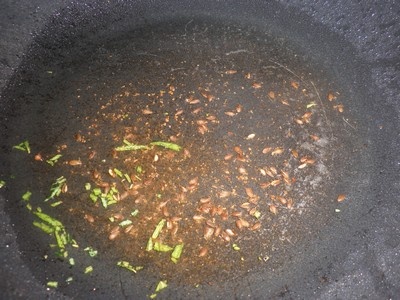 Kanalóny (fotorecept) - obrázok 2