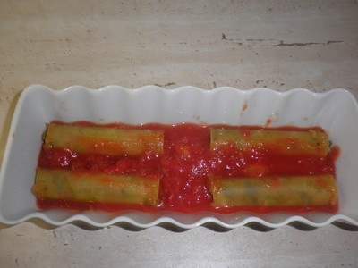 Kanalóny (fotorecept) - obrázok 12