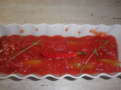 Kanalóny (fotorecept) - obrázok 13