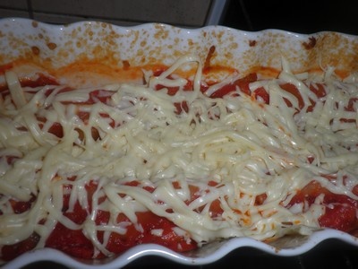 Kanalóny (fotorecept) - obrázok 16