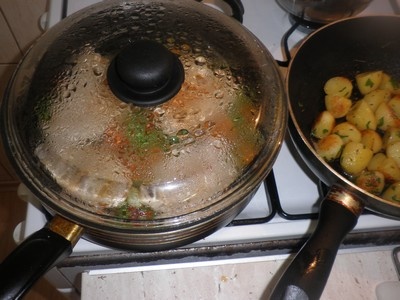 Prírodný morčací rezeň s bazalkovým pestom - nepodarený (fotorecept) - obrázok 4