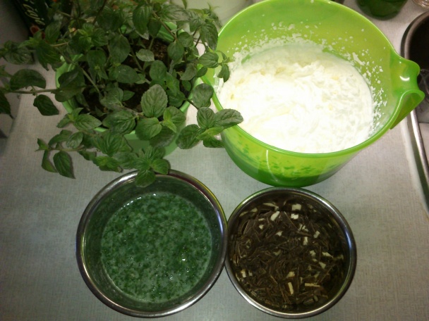 Mätová zmrzlina - obrázok 1