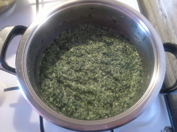 Špenátové lasagne - obrázok 1