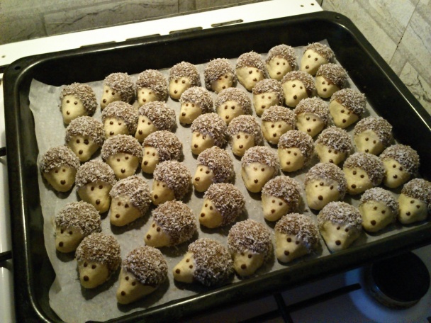 Ježkovci - obrázok 2