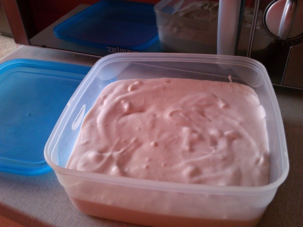 Punčová zmrzlinka (fotorecept) - obrázok 5