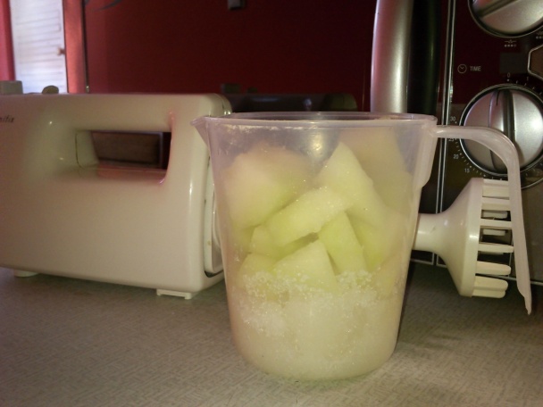 Melónová zmrzlina - obrázok 2