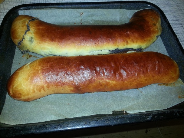 Makovník a kakaovník  - obrázok 5