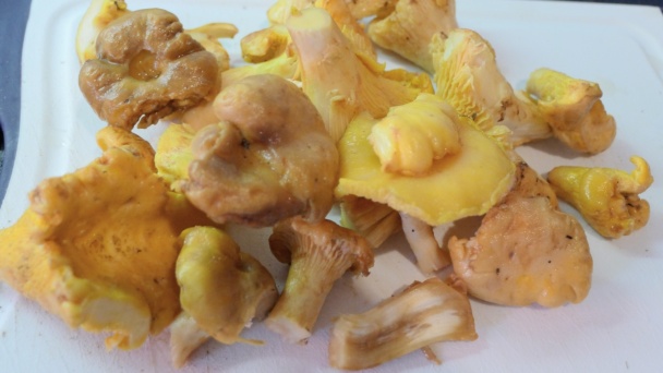 Kuriatkovo-dubáková omáčka (fotorecept) - obrázok 2