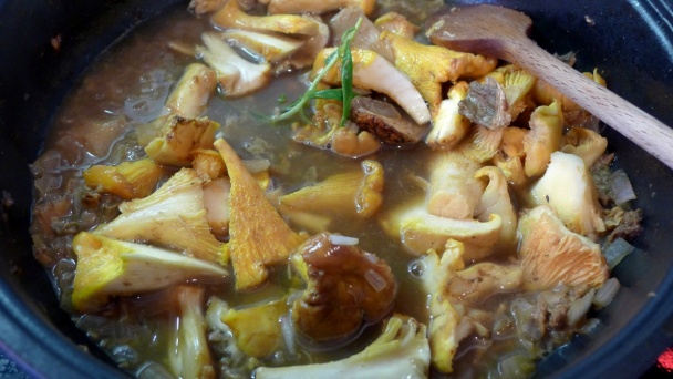 Kuriatkovo-dubáková omáčka (fotorecept) - obrázok 5