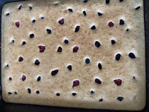 Falošný punčák (fotorecept) - obrázok 2