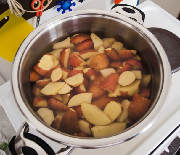 Tatárske kura v USA - obrázok 3