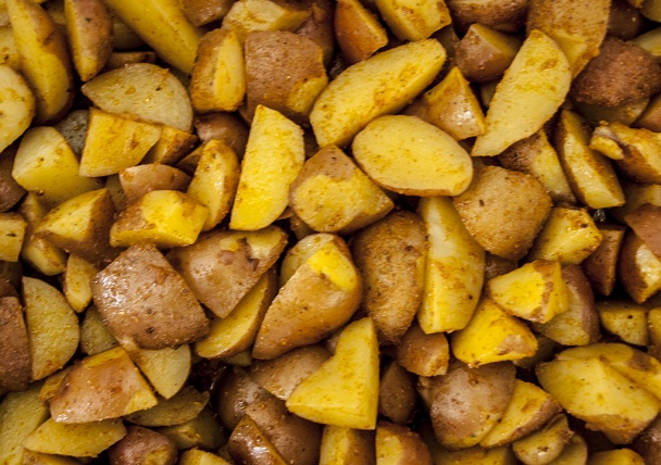 Tatárske kura v USA - obrázok 4