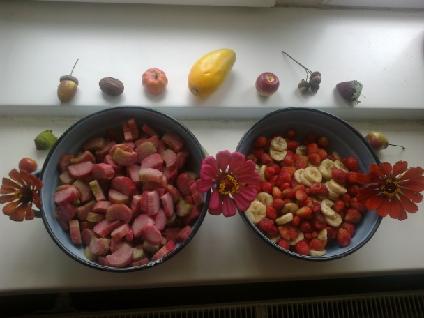 Rebarborovo- jahodový džem s banánmi - obrázok 1