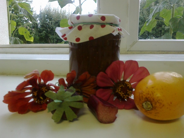 Rebarborovo- jahodový džem s banánmi - obrázok 7