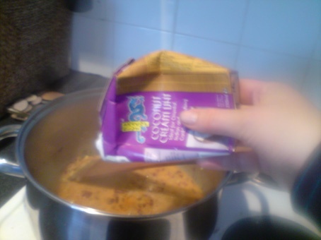 Thajské oranžové karí ala Baska - obrázok 2