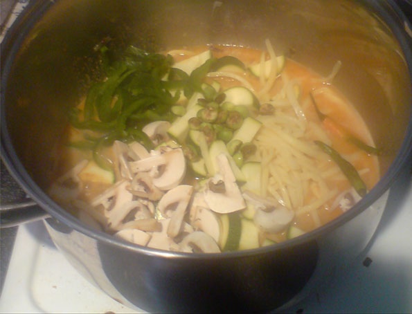 Thajské oranžové karí ala Baska - obrázok 3