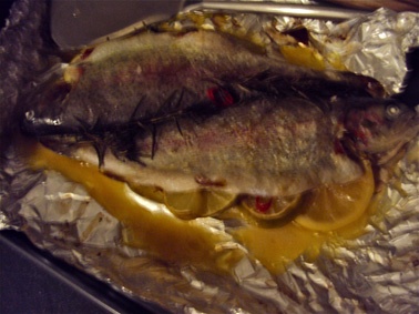 Pečený pstruh dúhový na citrusoch a bylinkách - obrázok 3